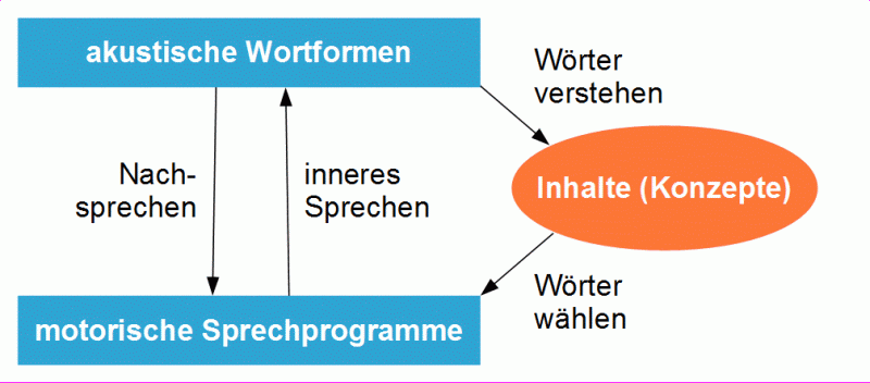 Sprachverarbeitung: akustische Wortformen und motorische Sprechprogramme