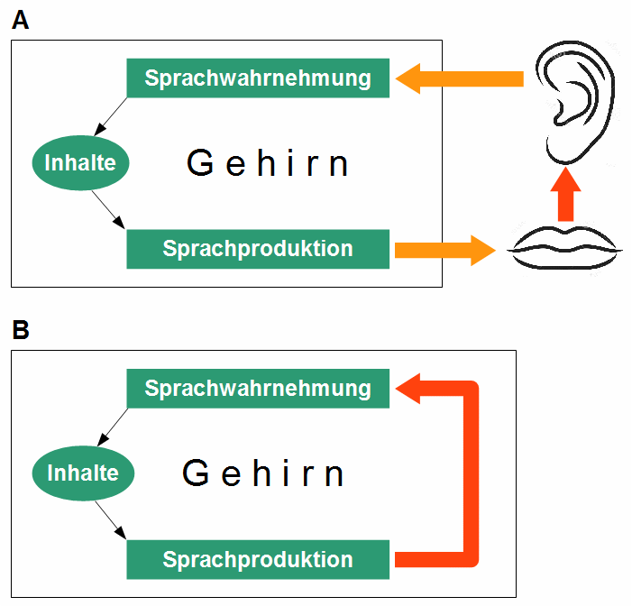 Sprachproduktion / Monitoring: äußere und innere Rückmeldung